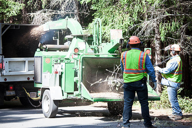 Best Commercial Tree Services  in The Dalles, OR